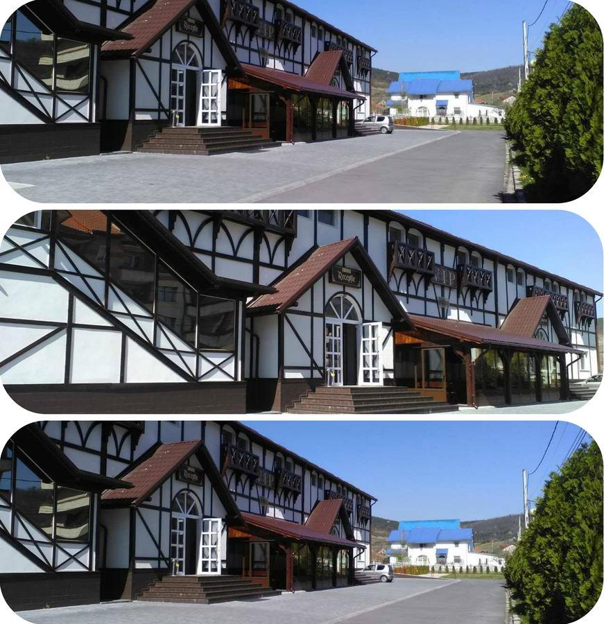 Vip Motel Restaurant Haţeg 外观 照片